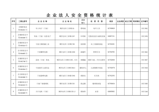 企业法人安全资格统计表
