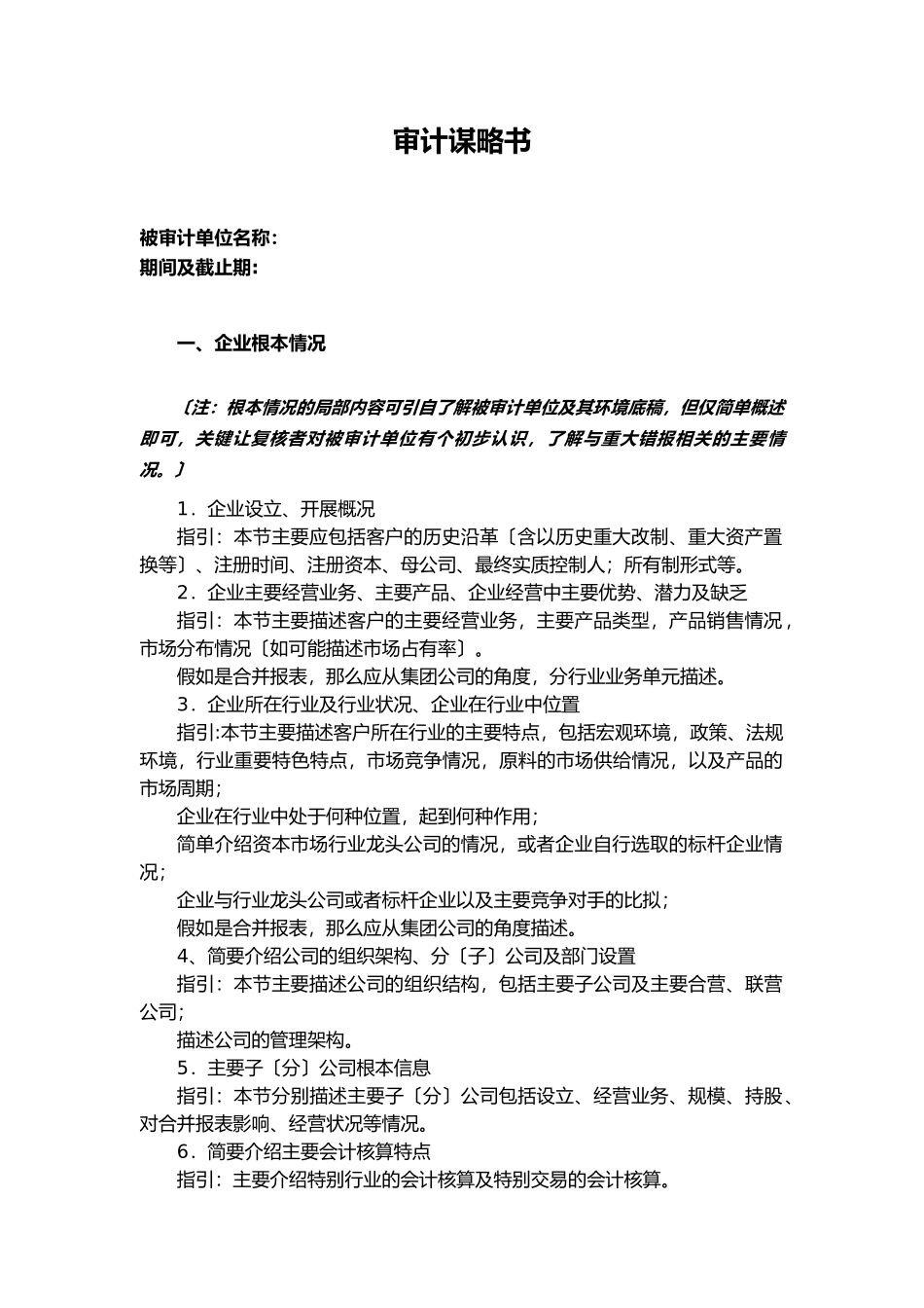 企业的审计策略书_第3页