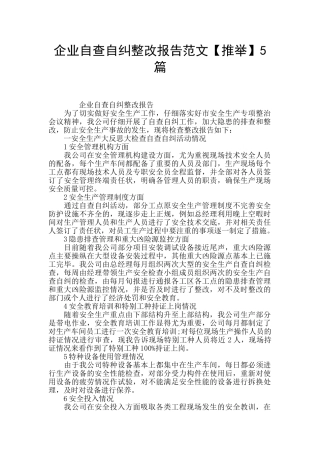 企业自查自纠整改报告范文5篇