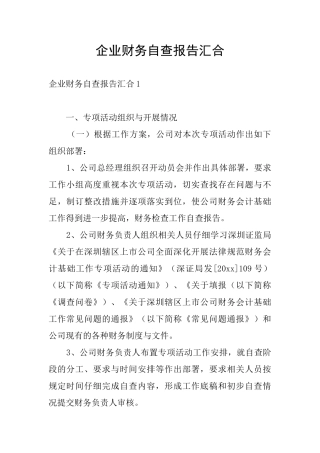 企业财务自查报告汇集-0