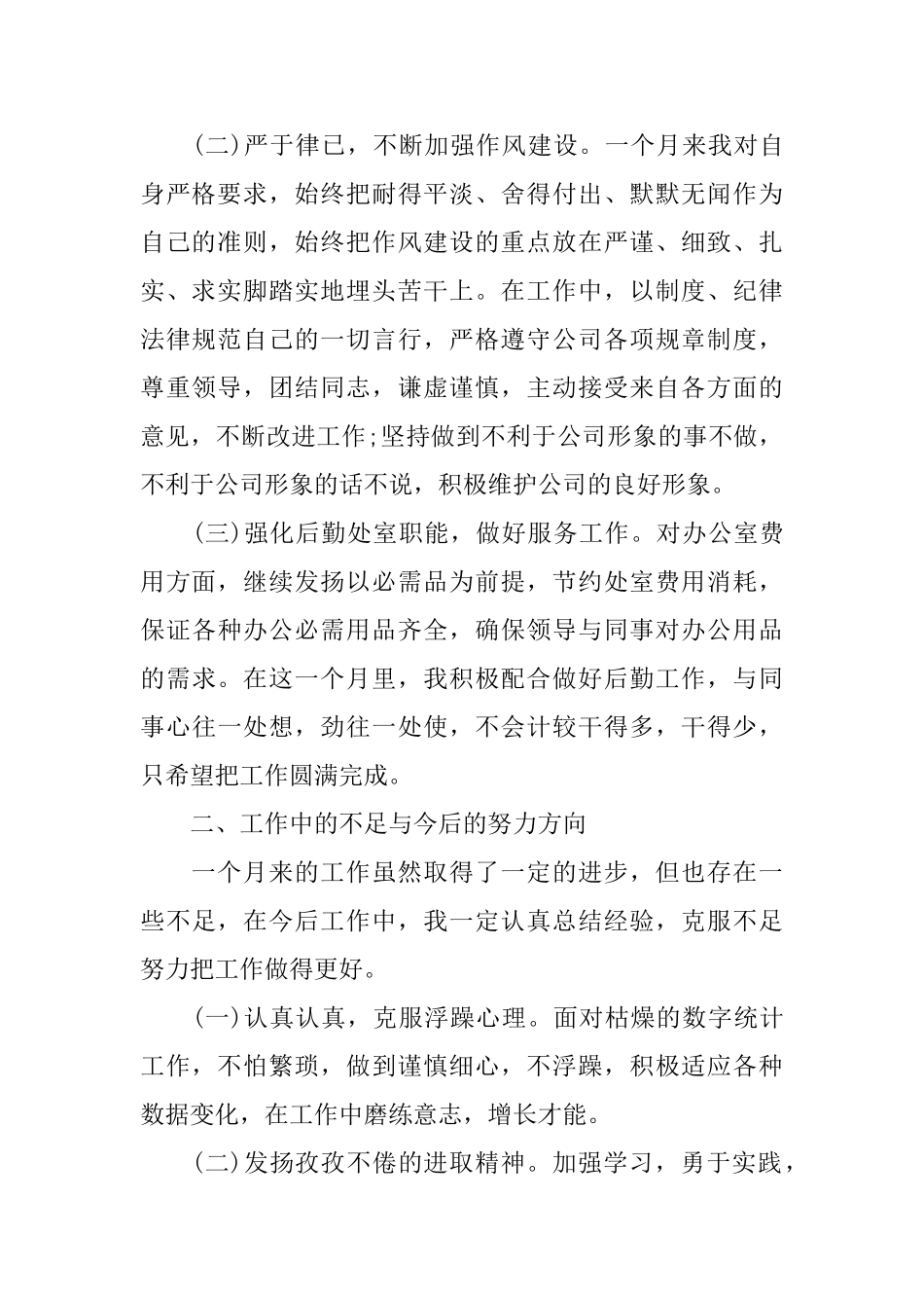 优秀的统计人员工作总结_第2页