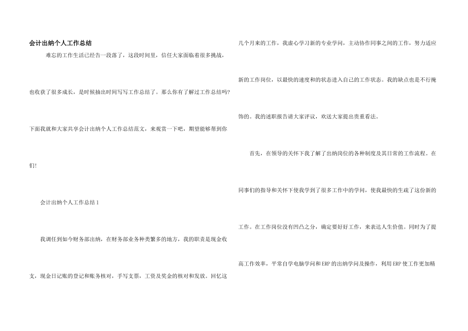 会计出纳个人工作总结_第1页