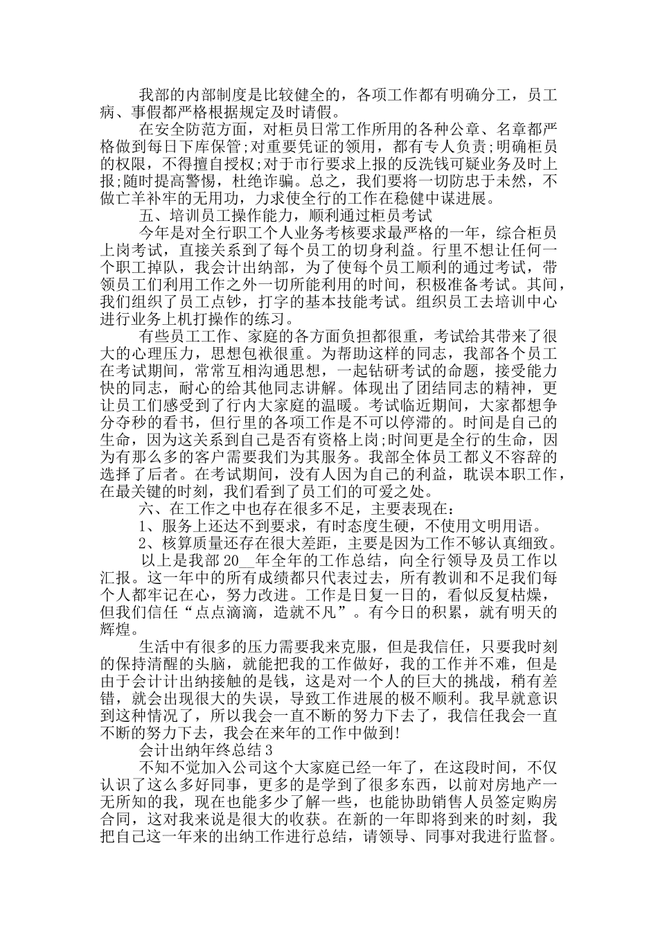 会计出纳年终总结模板_第3页