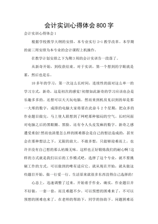 会计实训心得体会800字