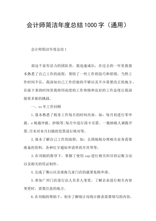 会计师简洁年度总结1000字