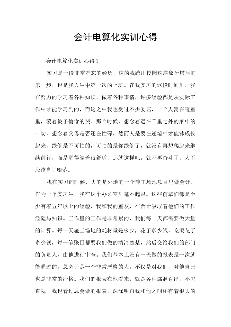 会计电算化实训心得_第1页