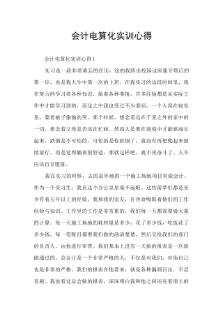 会计电算化实训心得