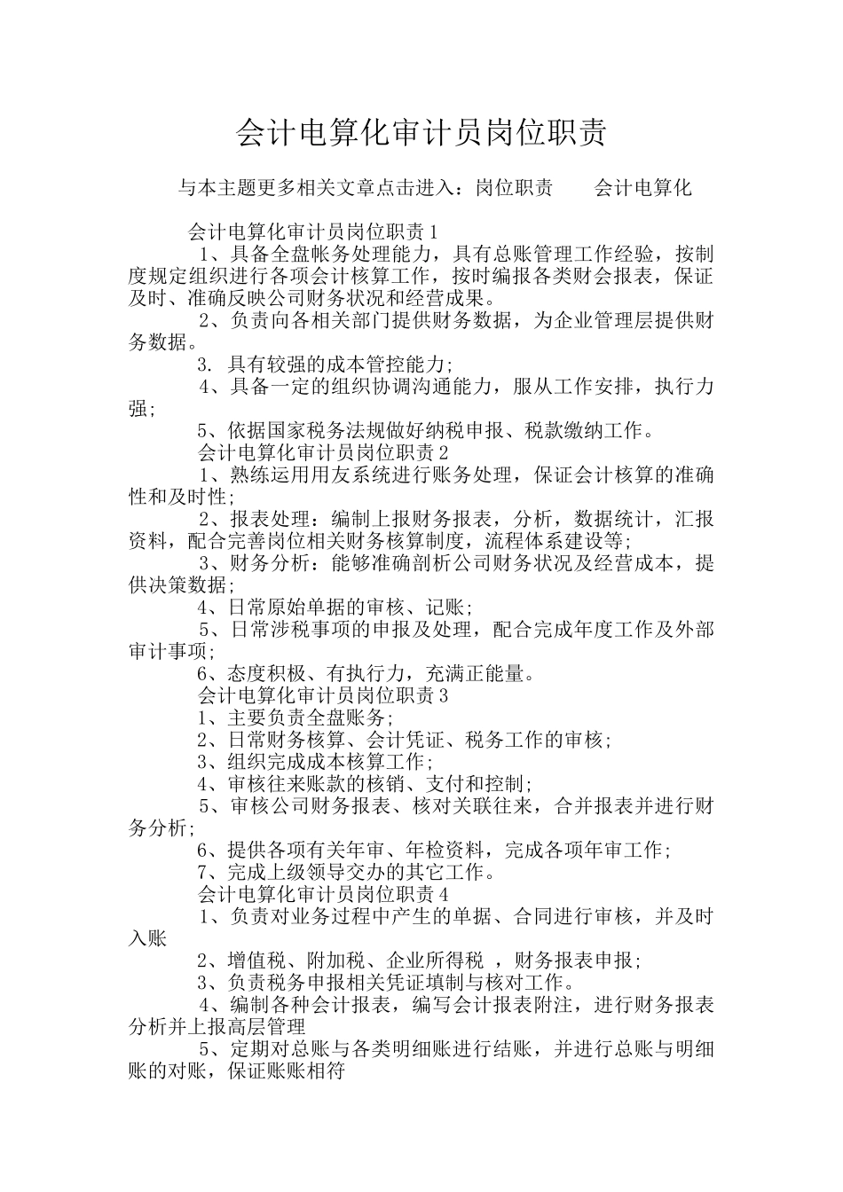 会计电算化审计员岗位职责_第1页