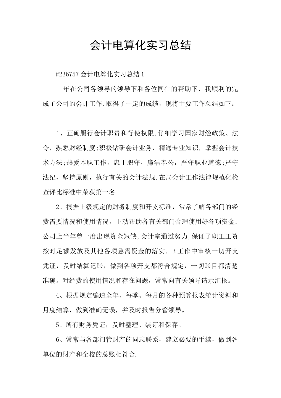 会计电算化实习总结_第1页