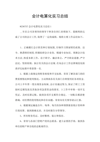 会计电算化实习总结