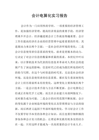 会计电算化实习报告