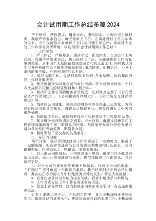 会计试用期工作总结多篇2024