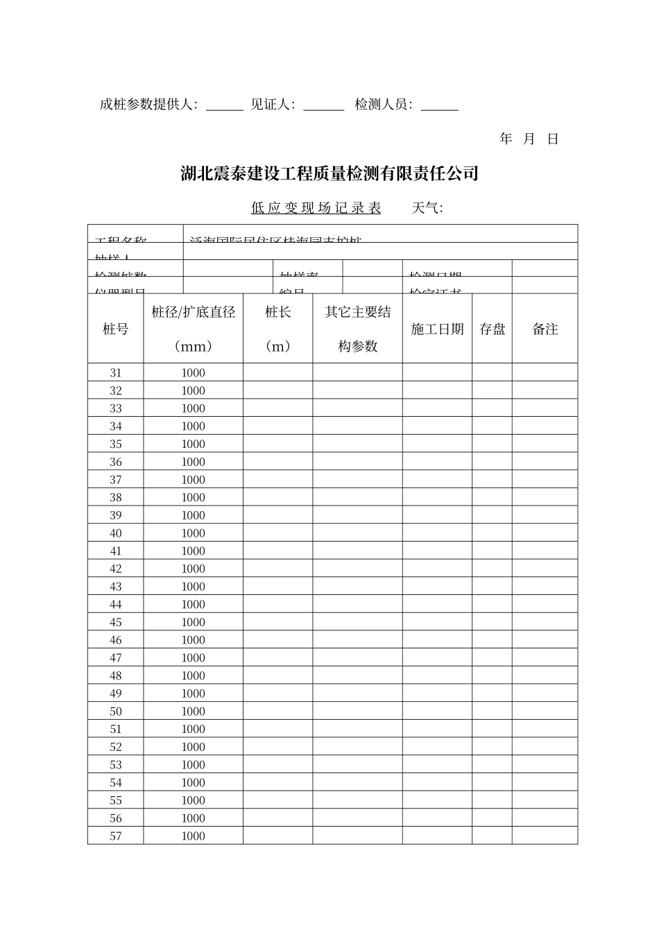 低应变现场记录表格_第2页