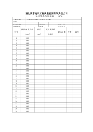 低应变现场记录表格