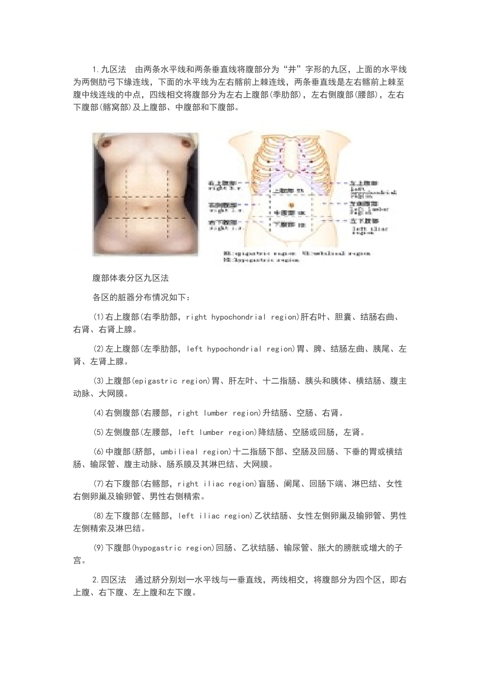 体格检查——腹部检查_第3页