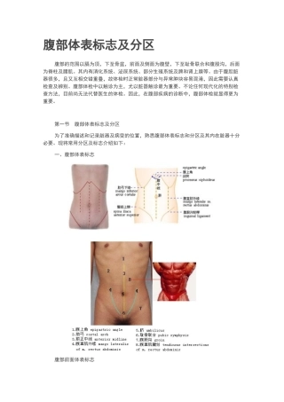 体格检查——腹部检查