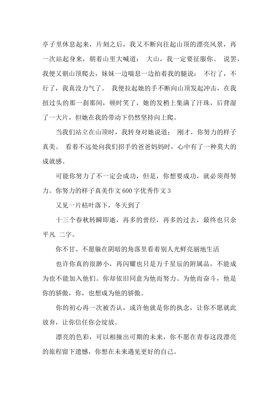 你努力的样子真美作文600字精选优秀作文_第3页