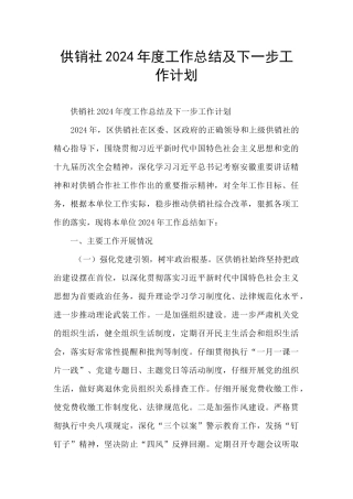 供销社2024年度工作总结及下一步工作计划