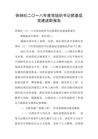 供销社二〇一八年度党组织书记抓基层党建述职报告
