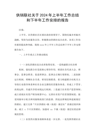 供销联社关于2024年上半年工作总结和下半年工作安排的报告