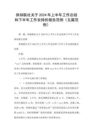 供销联社关于2024年上半年工作总结和下半年工作安排的报告范例
