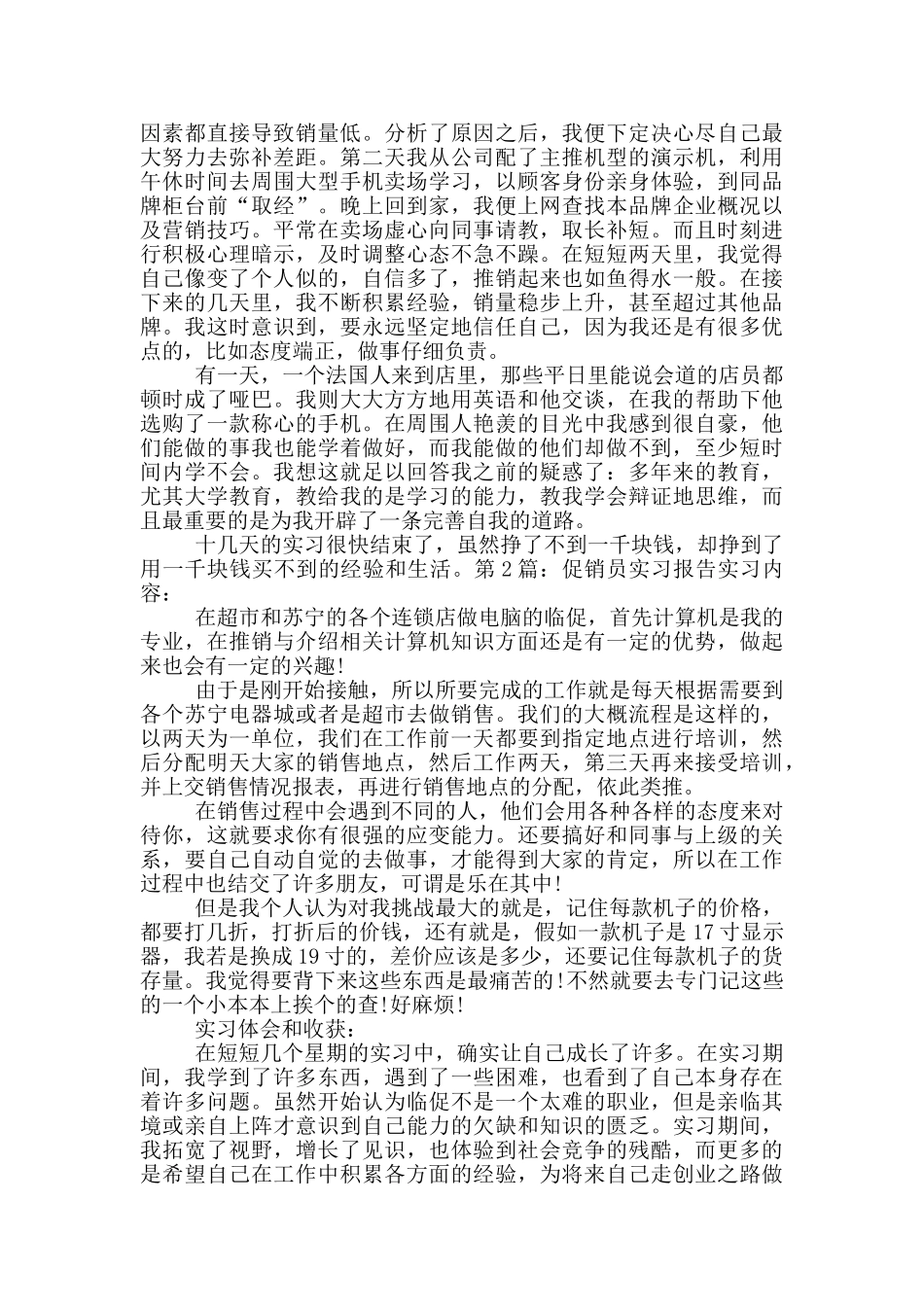促销员实习报告_第2页
