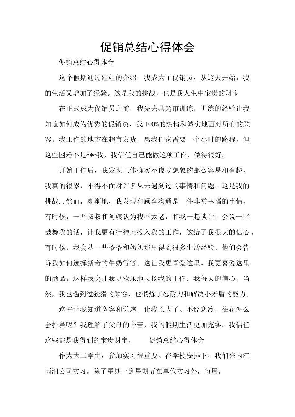 促销总结心得体会_第1页