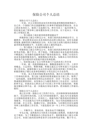 保险公司个人总结