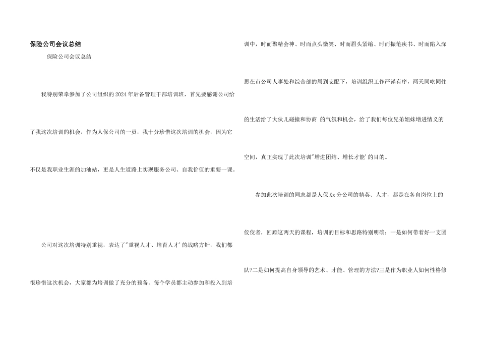 保险公司会议总结_第1页