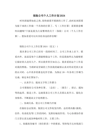 保险公司个人工作计划2024