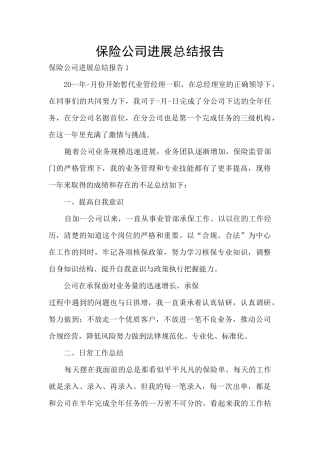 保险公司发展总结报告