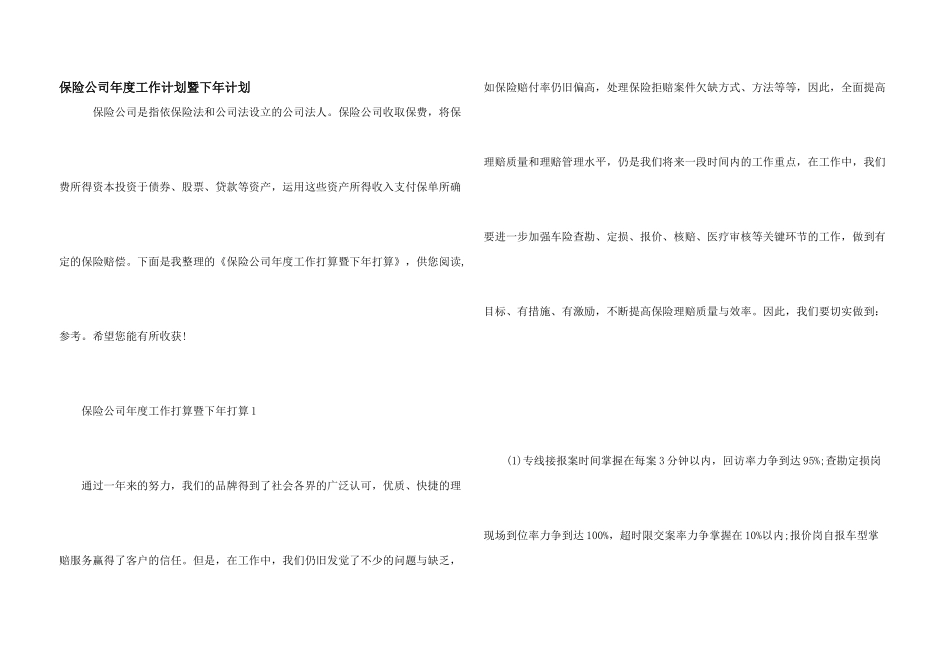 保险公司年度工作计划暨下年计划_第1页