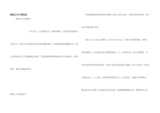 保险公司心得体会