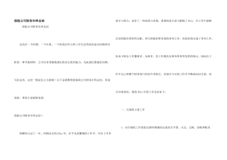 保险公司财务年终总结