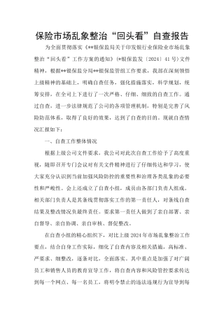 保险市场乱象整治“回头看”自查报告