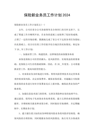 保险新业务员工作计划2024