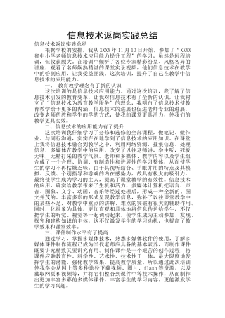 信息技术返岗实践总结