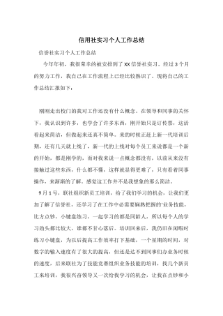 信用社实习个人工作总结