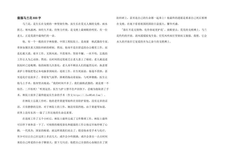 倔强马兰花800字_第1页