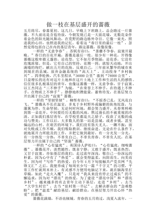 做一枝在基层盛开的蔷薇