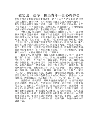 做忠诚、干净、担当青年干部心得体会