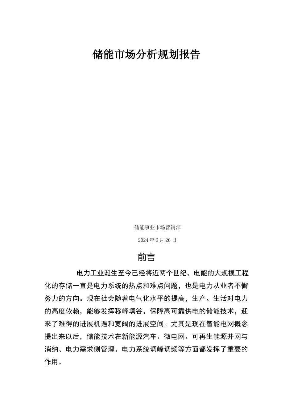 储能市场规划报告_第1页