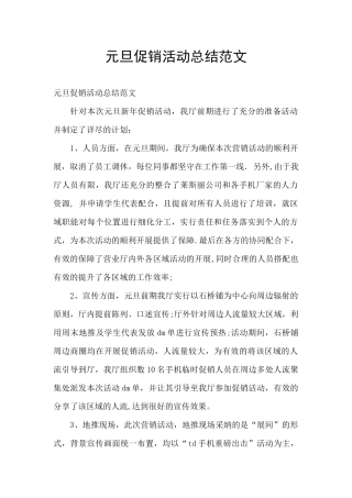 元旦促销活动总结范文