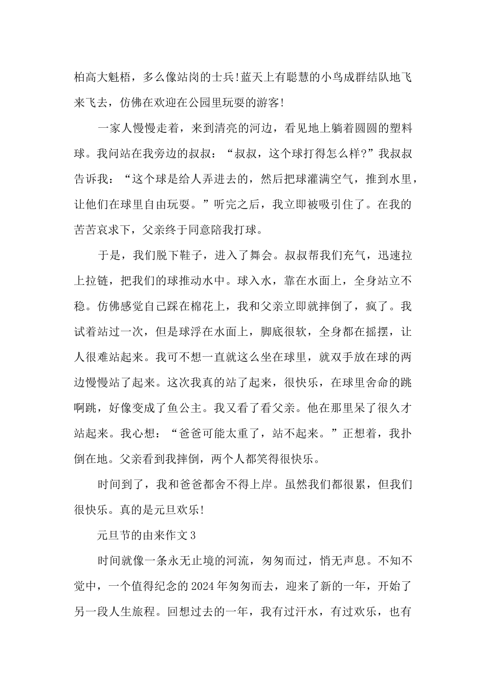 元旦节的由来作文5篇_第3页