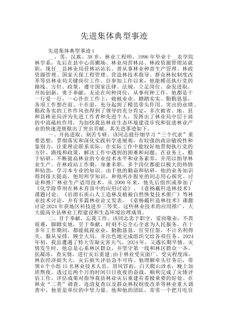 先进集体典型事迹