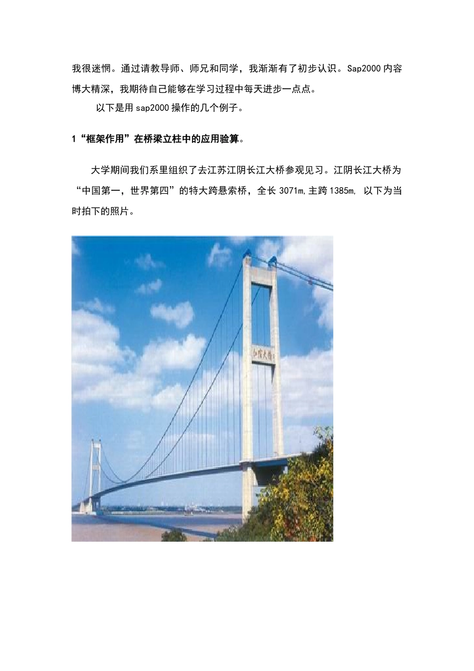 免费sap2000计算例子_第2页