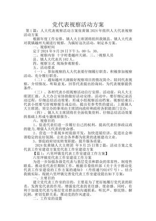 党代表视察活动方案