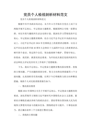 党员个人检视剖析材料范文
