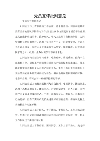 党员互评批评意见