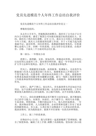 党员先进模范个人年终工作总结自我评价